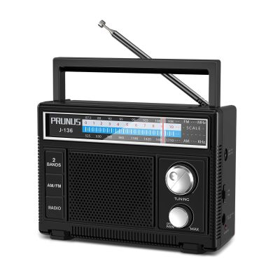PRUNUS J-136 Portable AM FM Radio with Best Reception, Loud Speaker