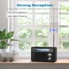 PRUNUS J-136 Portable AM FM Radio with Best Reception, Loud Speaker view 4