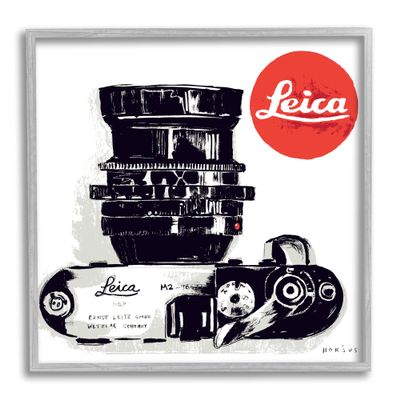 Vintage Camera Ad Architecture, 17 x 17 Inch Framed Gicle Print