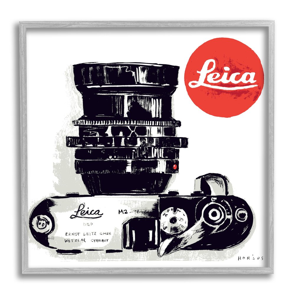Vintage Camera Ad Architecture, 17 x 17 Inch Framed Gicle Print