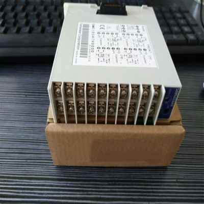 BIRGI  YAMATAKE Module DMC10D4TV0000 DMC10D4CV0000 DMC10S4TR0000