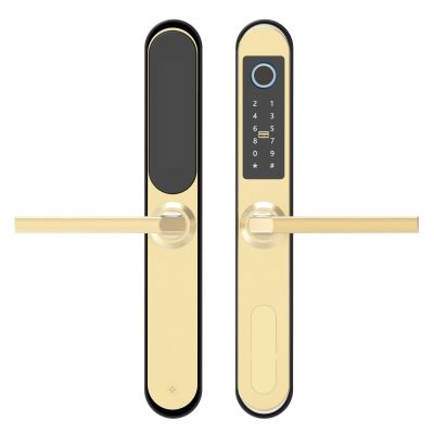 HAvern Security Lock Key Smart Lock TTLock Tuya APP Unlock Fingerprint Card Password Key Lock (Color : Gold)