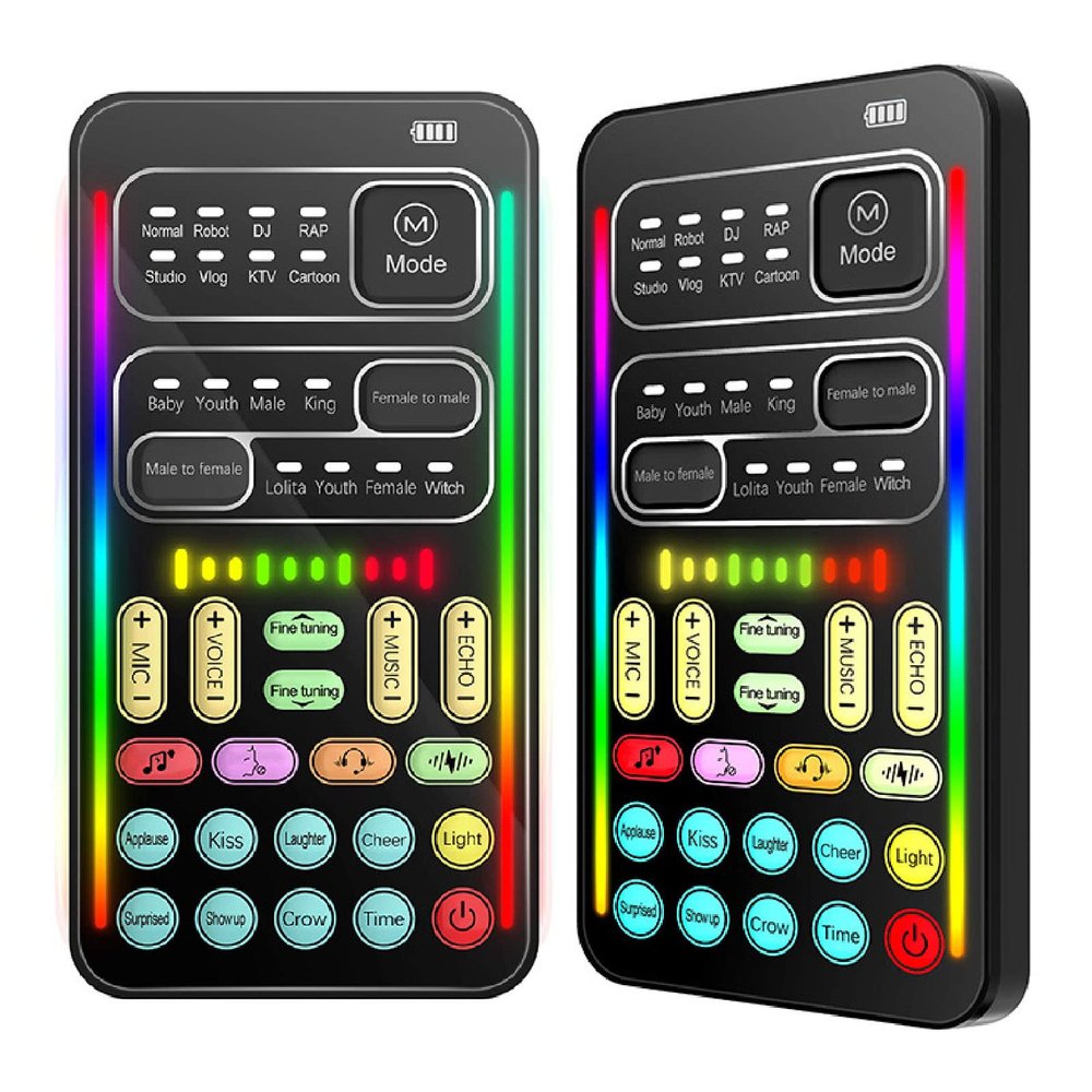 Handheld Portable Voice Changers, 10 Scales Adjustable Sound Disguiser, Mini Multifunctional Voice Changer with 8 Sound Effects for , Live, PC