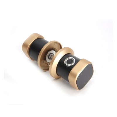 HAvern Application Controlled Touch Keyboard Fingerprint Intelligent Door Lock TTlock Digital Door Handle Lock with Electronic Keyboard (Color : Champagne Gold)