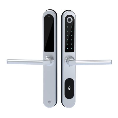 HAvern Semiconductor Bridge Cutoff Aluminum Plastic Steel Door Electronic Fingerprint Lock Password Lock Sliding Door Aluminum Alloy (Color : Fingerprint ODS-01)