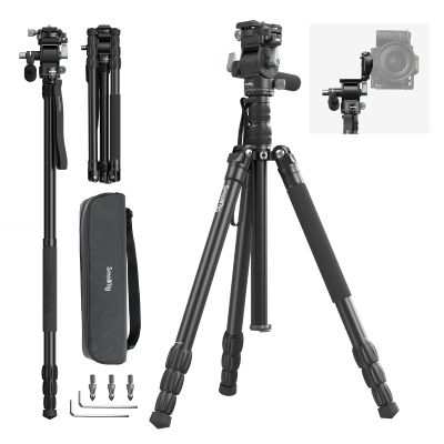 SmallRig CT195 Video Tripod Kit, 73" Camera Tripod with Pan Tilt Fluid Head for Vertical/Horizontal Shooting, Max Load 15kg / 33Ibs for Camcorder, Mirrorless, DSLR - 4307