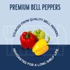 Harmony House Dried Mixed Bell Peppers, Diced - Dehydrated Vegetables For Cooking, Camping, Emergency Supply and More, 2.25 oz ZIP Pouch view 3