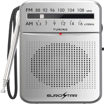EUROSTAR ICFS220S Portable AM/FM Radio, Silver