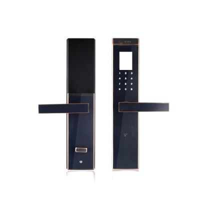 HAvern Facial Recognition Intelligent Lock, Palm Print Password, Household Lock, Anti-Theft Door, Dedicated Electronic Stainless Steel Lock