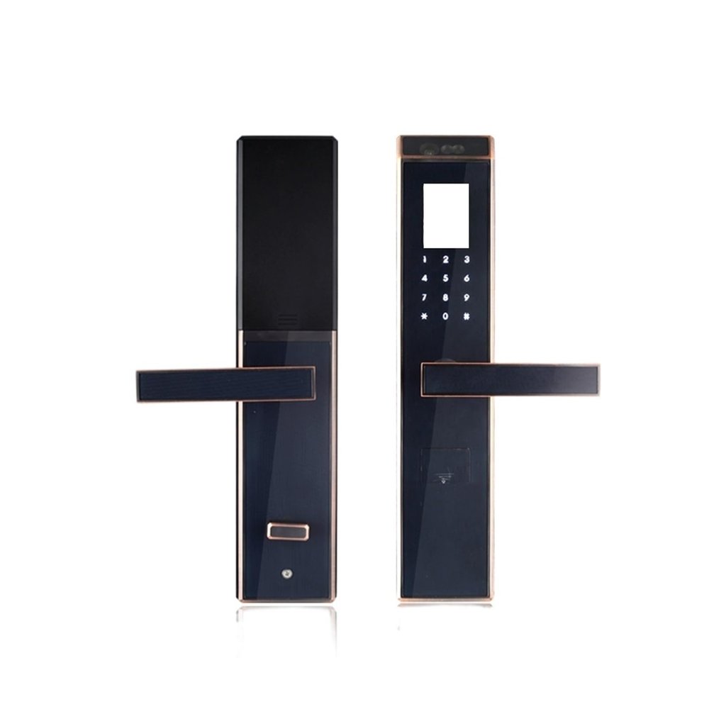 HAvern Facial Recognition Intelligent Lock, Palm Print Password, Household Lock, Anti-Theft Door, Dedicated Electronic Stainless Steel Lock