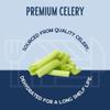 Harmony House Dehydrated Celery, Crosscut  Dried Vegetables For Cooking, Camping, Emergency Supply and More (1.5 oz, Zip Pouch) view 3