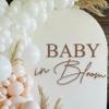 VANGNING Baby in Bloom Decal Sign view 1