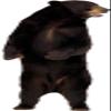 3D Wall Decal Bear Decal Removable Wall Sticker Home Decor Art Mural Grizzly Wild Animals 43" x 28" view 1