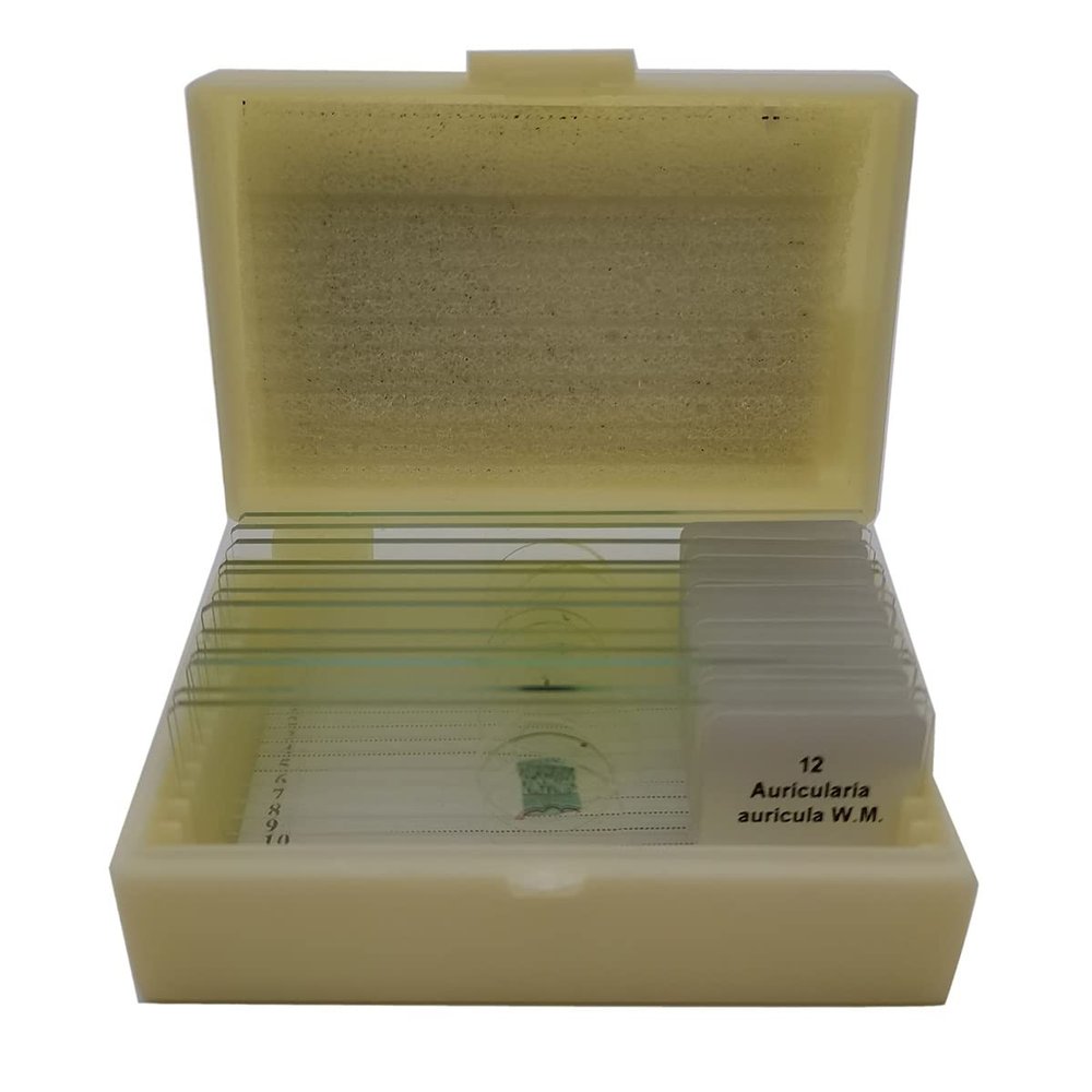 VAKUUM Lab Microscope Slides 12Pcs Microscope Slides for Biology Educational Supplies Microscope Parts