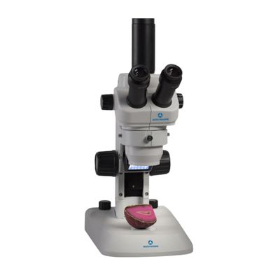 Accu-Scope Stereo Microscope 3079-LED - Trinocular Head, 8-35X Zoom Magnification - Dissecting Microscope for Science, Gemology/Jewelry, Manufacturing