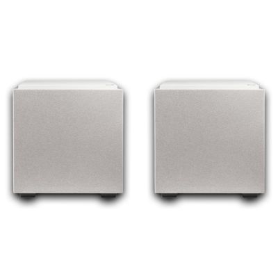Definitive Technology 2 Descend DN10 10" Subwoofers Digitally Optimized for Movies and Music | 2 Speakers, White | 500W Peak Class D Amplifier | (2) Pressure-Coupled 10" Bass Radiators