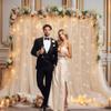 10x10ft Champagne Tulle Backdrop Curtain with Lights String for Parites, Sheer Backdrop Curtains for Wedding Baby Shower Birthday Party Photo Shoot Decorations view 4