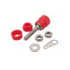 4mm Banana Socket Mount Binding Post Nut Banana Female Jack Terminal Block Connector Nickel Plated Fit Compatible 4mm Banana pl;/UG Red&Black(5Pair) view 4