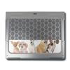 MightySkins Glossy Glitter Skin Compatible with Alienware X16 R1 (2023) Full Wrap Kit - Puppy Posse | Protective, Durable High-Gloss Glitter Finish | Easy to Apply & Change Styles | Made in The USA view 3