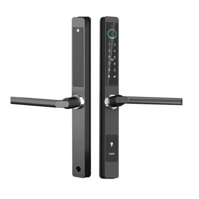 HAvern Electronic Lock TTLock APP Control Thin Design Fingerprint Password Sliding Door Aluminum Alloy Intelligent Door Lock (Color : Kit7)