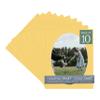 Chamois Yellow Acid Free 16x20 Oval Picture Frame Mat with White Core Bevel Cut for 13x18 Pictures - Fits 16x20 Frame - Pack of 10 Matboard Show Kits With Acid Free Backings & Clear Bags view 1