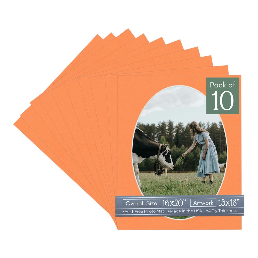 CountryArtHouse Orange Acid Free 16x20 Oval Picture Frame Mat with White Core Bevel Cut for 13x18 Pictures - Fits 16x20 Frame - Pack of 10 Matboard Show Kits with Acid Free Backings & Clear Bags