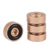 Pilipane 4PCS 20 8mm Aluminum Alloy Amplifier Feet Damper Amplifier Pads(Gold) view 4