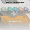 Linsoul Kiwi Ears Orchestra Lite Performance Custom 8BA in-Ear Monitor IEM view 4