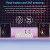 Douk Audio Balanced EQ Preamp: 7-Band Equalizer - Vacuum Tube Preamplifier with XLR RCA Inputs & Outputs - for Home Stereo HiFi System, Amplifiers, Active Speakers (T8 PRO Silver) view 3