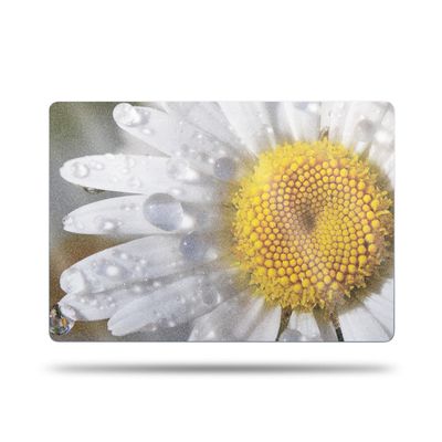 MightySkins Glossy Glitter Skin Compatible with Apple MacBook Air 15'' M2/M3 (2024) Full Wrap Kit - Daisy | Protective, Durable High-Gloss Glitter Finish & Change Styles | Made in The USA