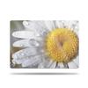 MightySkins Glossy Glitter Skin Compatible with Apple MacBook Air 15'' M2/M3 (2024) Full Wrap Kit - Daisy | Protective, Durable High-Gloss Glitter Finish & Change Styles | Made in The USA view 1