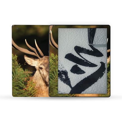 MightySkins Skin Compatible with Amazon Kindle Scribe (2022) Full Wrap - Morning Buck | Protective, Durable, and Unique Vinyl Decal wrap Cover | Easy to Apply | Made in The USA