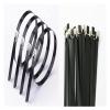 Cable Tie Straps,Locking Ties, 25pcs 4.6x100/150/200/260/300/350/400 To 700mm Stainless Steel Cable Ties Locking Metal Zip-Exhaust Wrap Coated (Color : Metallic, Size : 4.6X700 black 25PCS) ( Color : view 3