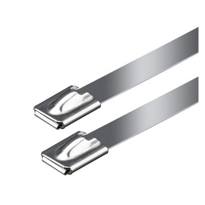 Cable Tie Straps,Locking Ties, 100Pcs 304 Stainless Steel Cable Ties 4.6mm Self-Locking Cable Zip Tie Metal Exhaust Locking Ties (Color : Silver, Size : 4.6X550MM) ( Color : Silver , Size : 4.6X350MM