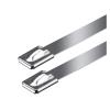 Cable Tie Straps,Locking Ties, 100Pcs 304 Stainless Steel Cable Ties 4.6mm Self-Locking Cable Zip Tie Metal Exhaust Locking Ties (Color : Silver, Size : 4.6X550MM) ( Color : Silver , Size : 4.6X350MM view 1