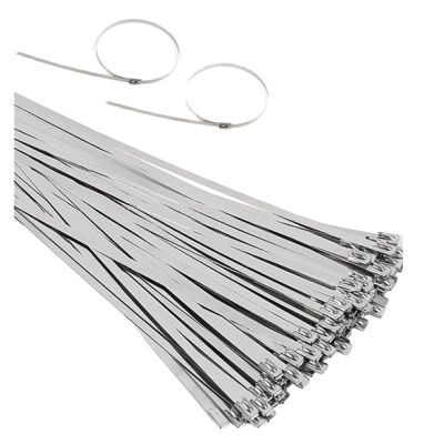 Cable Tie Straps,Locking Ties, 100PCS Locking Cable Metal Zip Ties Stainless Steel Cable Twist Ties Locking Metal Zip-Exhaust Wrap Coated (Color : Silver, Size : 100PCS 4.6MM x 200MM) ( Color : Silver