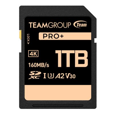 TEAMGROUP PRO 1TB UHS-I U3 A2 V30 4K UHD Read/Write Speed up to 160/120MB/s SDXC Memory Card for Professional Vloggers, Filmmakers, Photographers & Content Curators TPPSDX1TIA2V3001