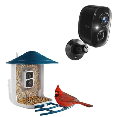 Dzees Security Camera Outdoor Wireless - Battery Powered WiFi Outdoor Camera Wireless, Smart Bird Feeder with Camera, AI Identify Bird Species, Auto Capture Bird Videos