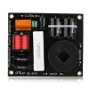 High Performance 2 Way Frequency Divider Crossover Filter for Professional Speakers view 1