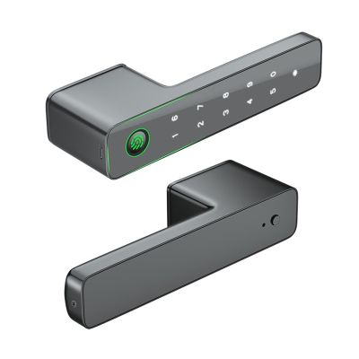 HAvern Smart Lock Biometric Fingerprint Password Key Unlocking Smart Electronic Lock Mirror Touch Screen Mute Lock (Color : Gray)