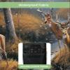 T&H XHome Outdoor TV Cover - Deer Standing by a Stream Deep in The Forest Waterproof and Weatherproof 52"-55" LCD Movable Shield TV Display Screen Protector Outside Television Covers view 3