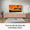 Amazon Fire TV Stick 4K Max bundle with Blink Mini Pan-Tilt Camera view 3