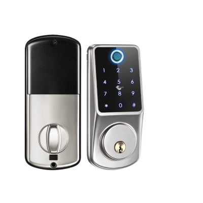 HAvern Tuya APP Fully Automatic Electronic Keyless Anti-Theft Intelligent Door Lock with Digital Fingerprint IC Card Mechanical Key Home (Color : Nickel)