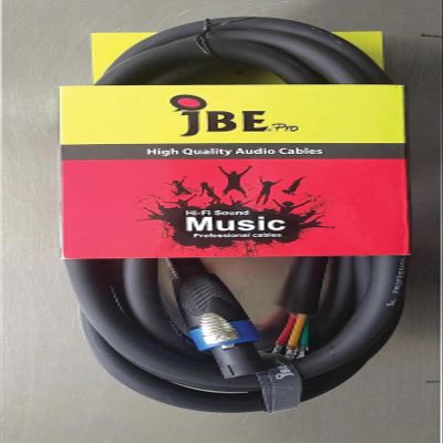 JBE Professional 13 Feet Chuchero Speaker Cable 12AWG 4 Terminals