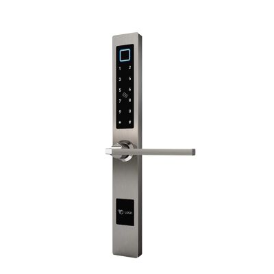 HAvern TTLOCK Biometric Fingerprint Electronic Smart Door Lock/Smart IC Card/Password/Key Unlocking/USB Emergency Charging/APP (Color : Silver, Size : Other)