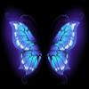 BELECO 10x8ft Fabric Magic Butterfly Wings Backdrop Blue Purple Wings Black Background for Butterfly Theme Party Decorations Kids Adults Artistic Portrait Photoshoot Studio Booth Props view 2