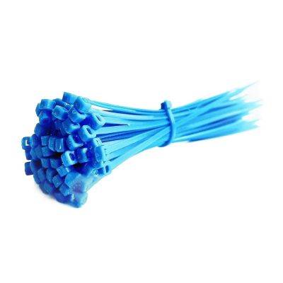 NORAZE Blue 100pcs Self-Lock Cable Ties Plastic Nylon Wire Ties Cable Zip Ties 3 * 100mm 3 * 200mm 4 * 100mm 4 * 250mm (Color : Blue, Size : 4x300)