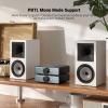 AIYIMA A07 MAX 2 Channel Stereo Amplifier Home Audio 300W*2 TPA3255 Class D Power Amp/Bridgeable Mono Amplifier 600 Watt with 3.5mm Line Output for Passive Bookshelf Speakers+DC36V 6A Power Adapter view 4