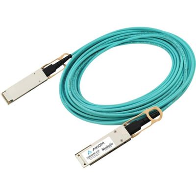 Axiom Memory - JNP-100G-AOC-25M-AX 100GBASE-AOC QSFP28 Active Optical Cable Juniper Compatible 25m - 82.02 ft Fiber Optic Network Cable for Router, Switch, Network Device - First End: 1 x