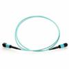 Axiom Memory - AXG94876 MPO Female/MPO Male Multimode OM3 50/125 Fiber Cable 25m - TAA Compliant - 82.02 ft Fiber Optic Network Cable for Network Device - First End: 1 x MPO Network - Female - view 1
